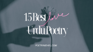 15 best love urdu poetry