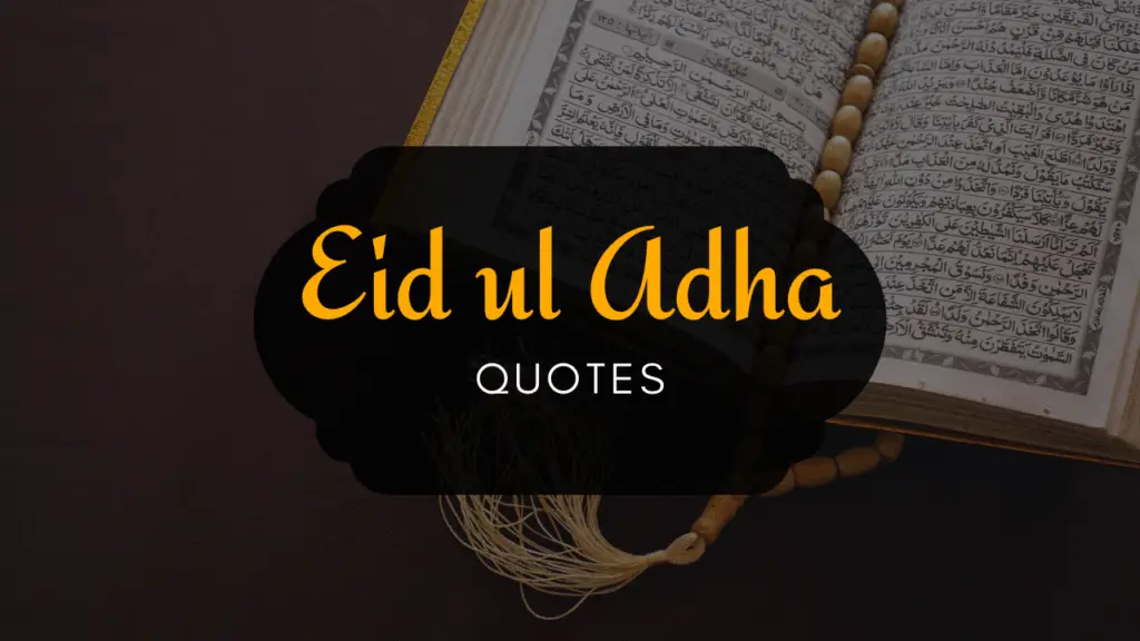 20 Best Islamic Quotes for Eid ul Adha in Urdu