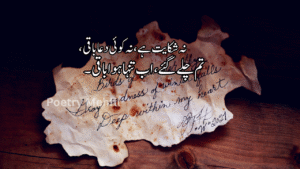2 Lines Urdu Poetry for Social Media Love & Sad