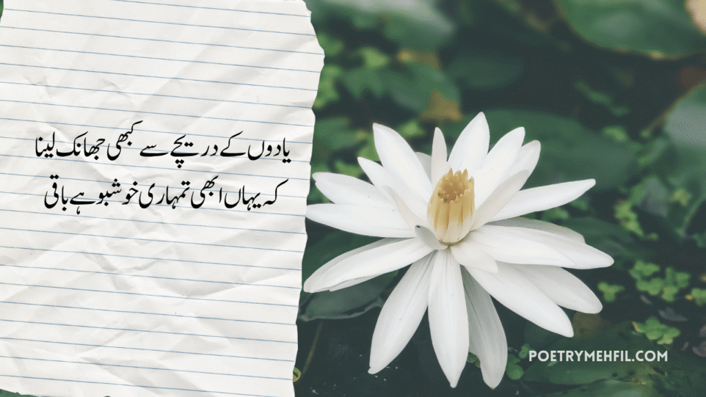 Best Two Line Sad Shayari in Urdu 3