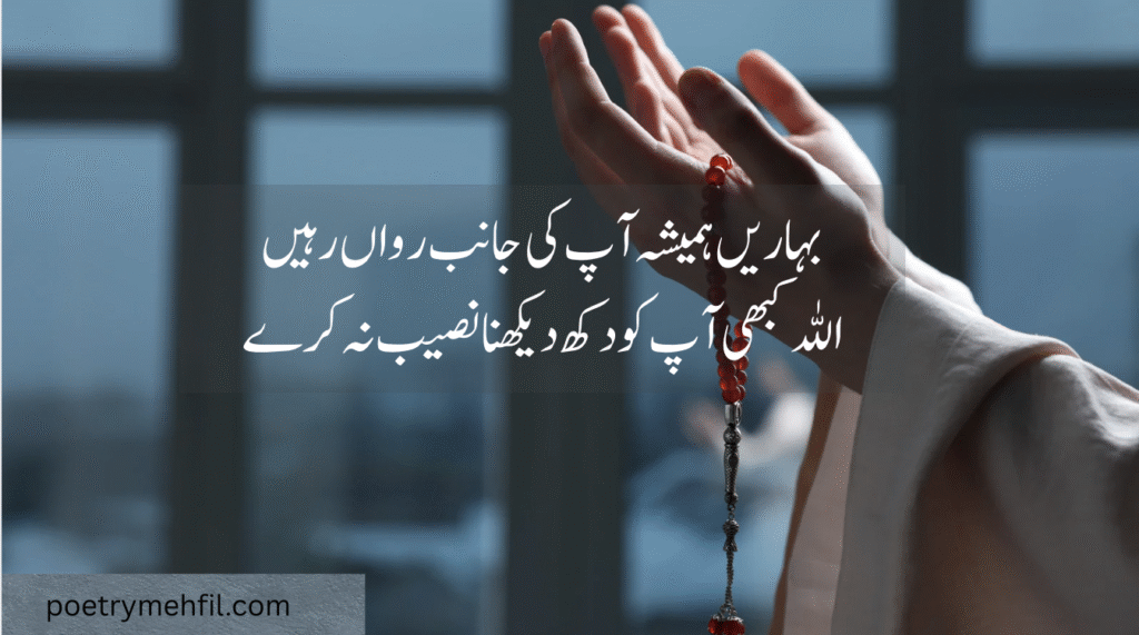 2025 Best Love Poetry Collection: Emotional & Aesthetic